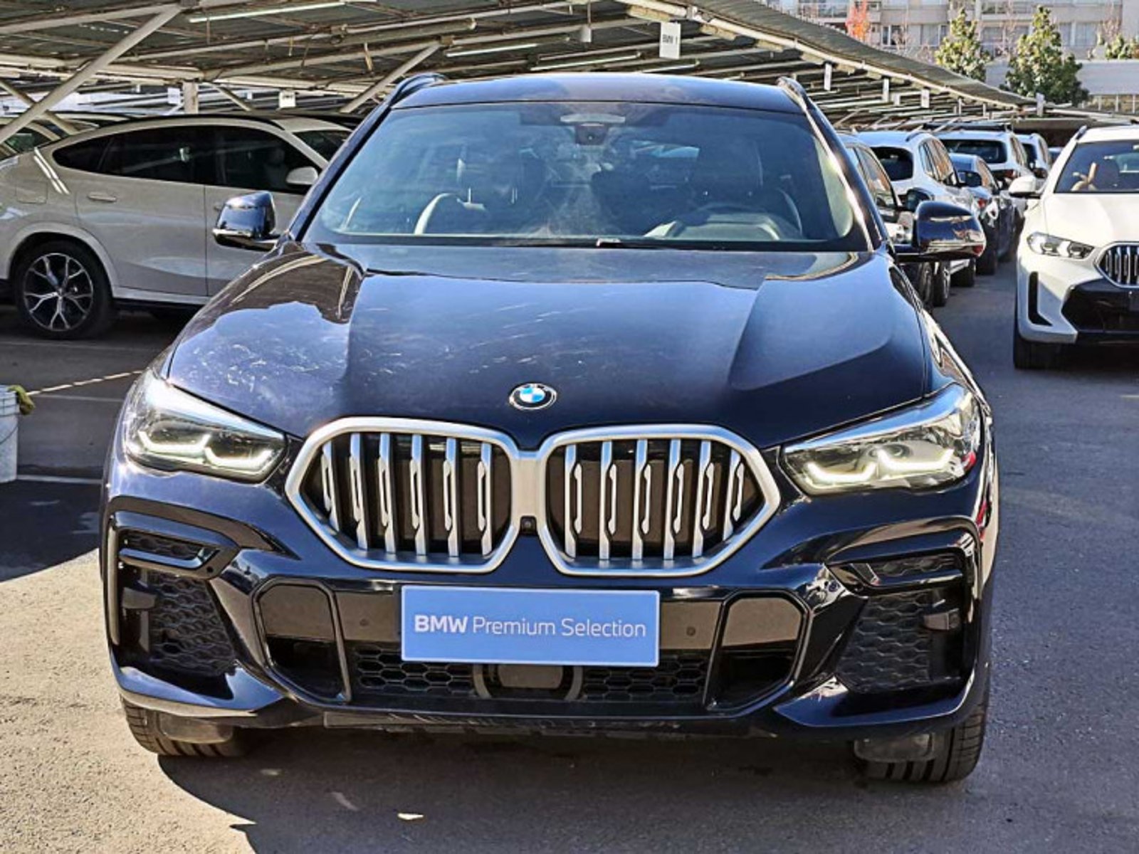 BMW X6 Xdrive30d 4x4 5p 3.0 Aut 2023 - Foto 3 de 13
