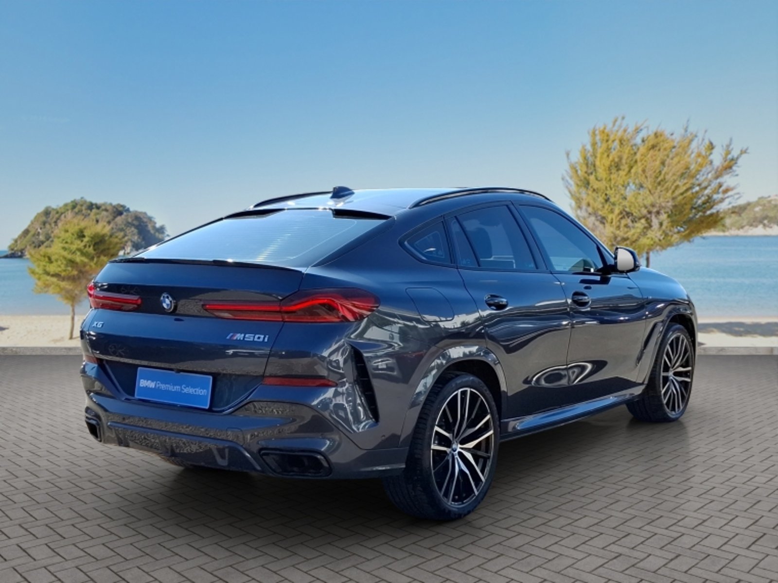 BMW X6 M50i 4x4 4.4 Aut 2022 - Imagen 7 de 20