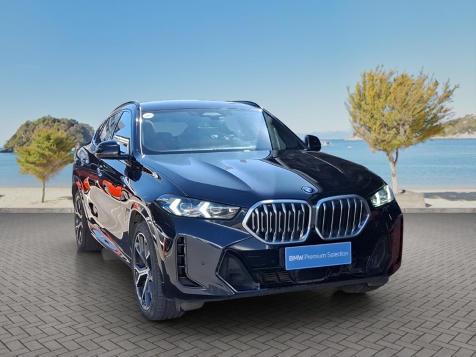 BMW X6 Xdrive 30d M Sport 4x4 3.0 Aut 2024 - Foto 3 de 16