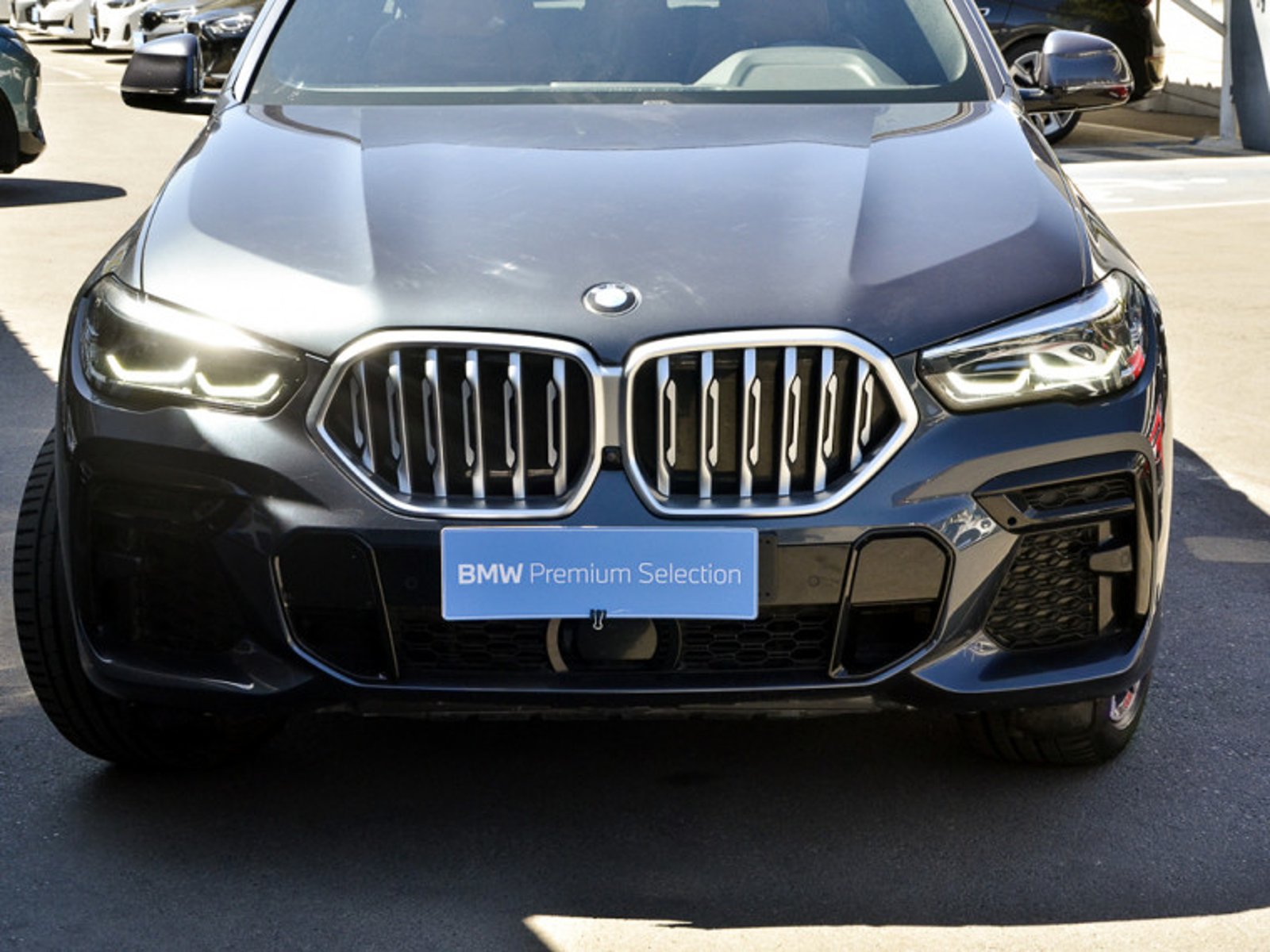 BMW X6 Xdrive30d 4x4 5p 3.0 Aut 2023 - Foto 4 de 13