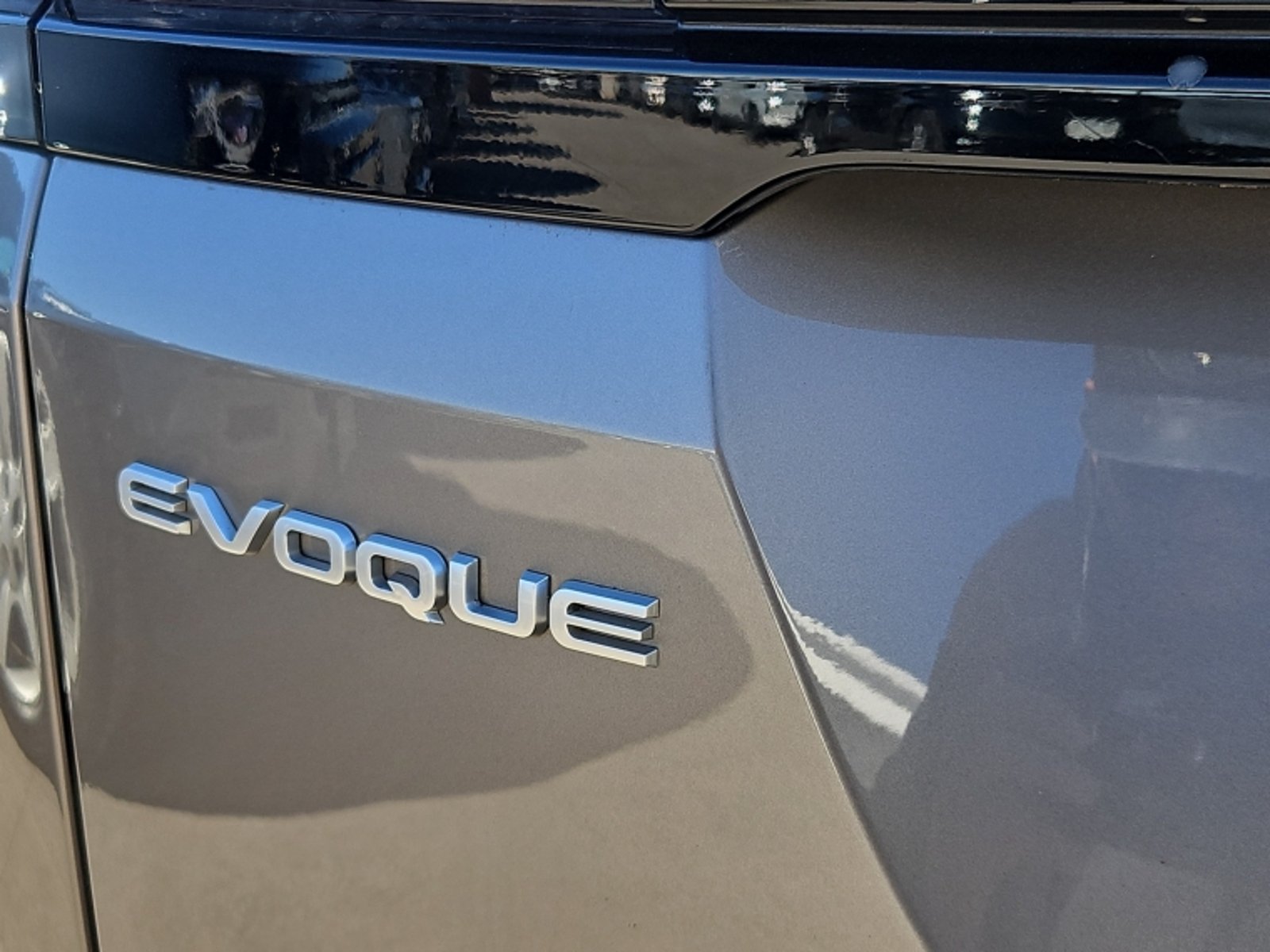 Land Rover Evoque Range Rover Mhev 4x4 2.0 Aut 2024 - Imagen 8 de 20