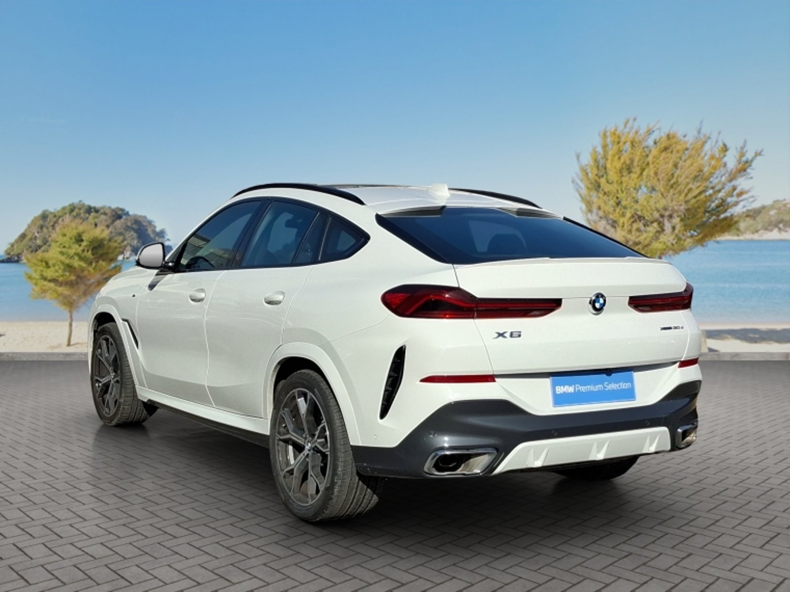 BMW X6 Xdrive30d 4x4 5p 3.0 Aut 2023 - Foto 5 de 20