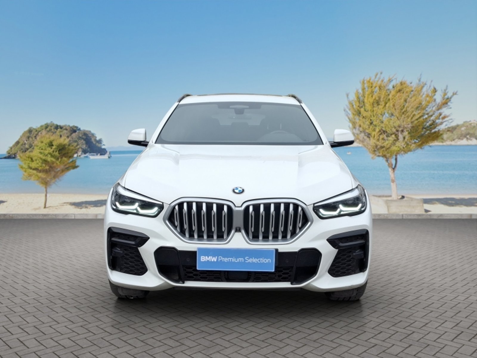 BMW X6 Xdrive30d 4x4 5p 3.0 Aut 2023 - Foto 2 de 20