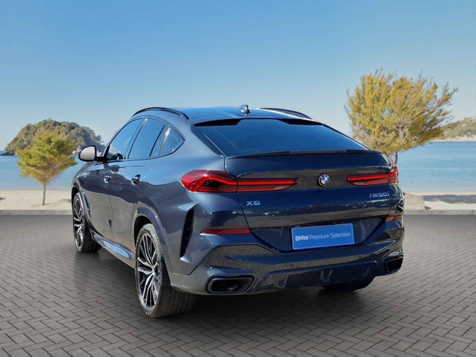 BMW X6 M50i 4x4 4.4 Aut 2022 - Imagen 5 de 20