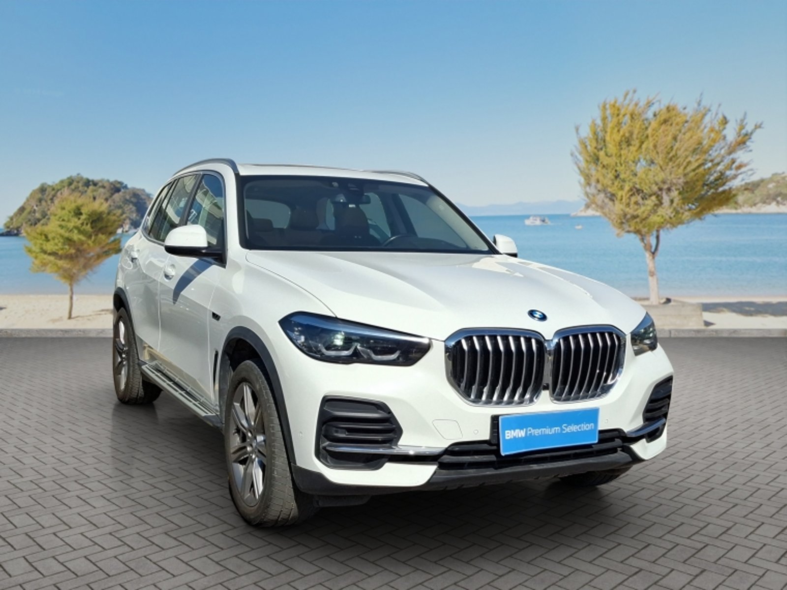 BMW X5 Xdrive 45e 4x4 3.0 Aut 2023 - Foto 3 de 20