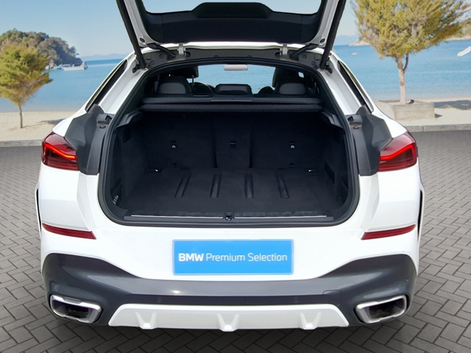 BMW X6 Xdrive30d 4x4 5p 3.0 Aut 2023 - Imagen 20 de 20