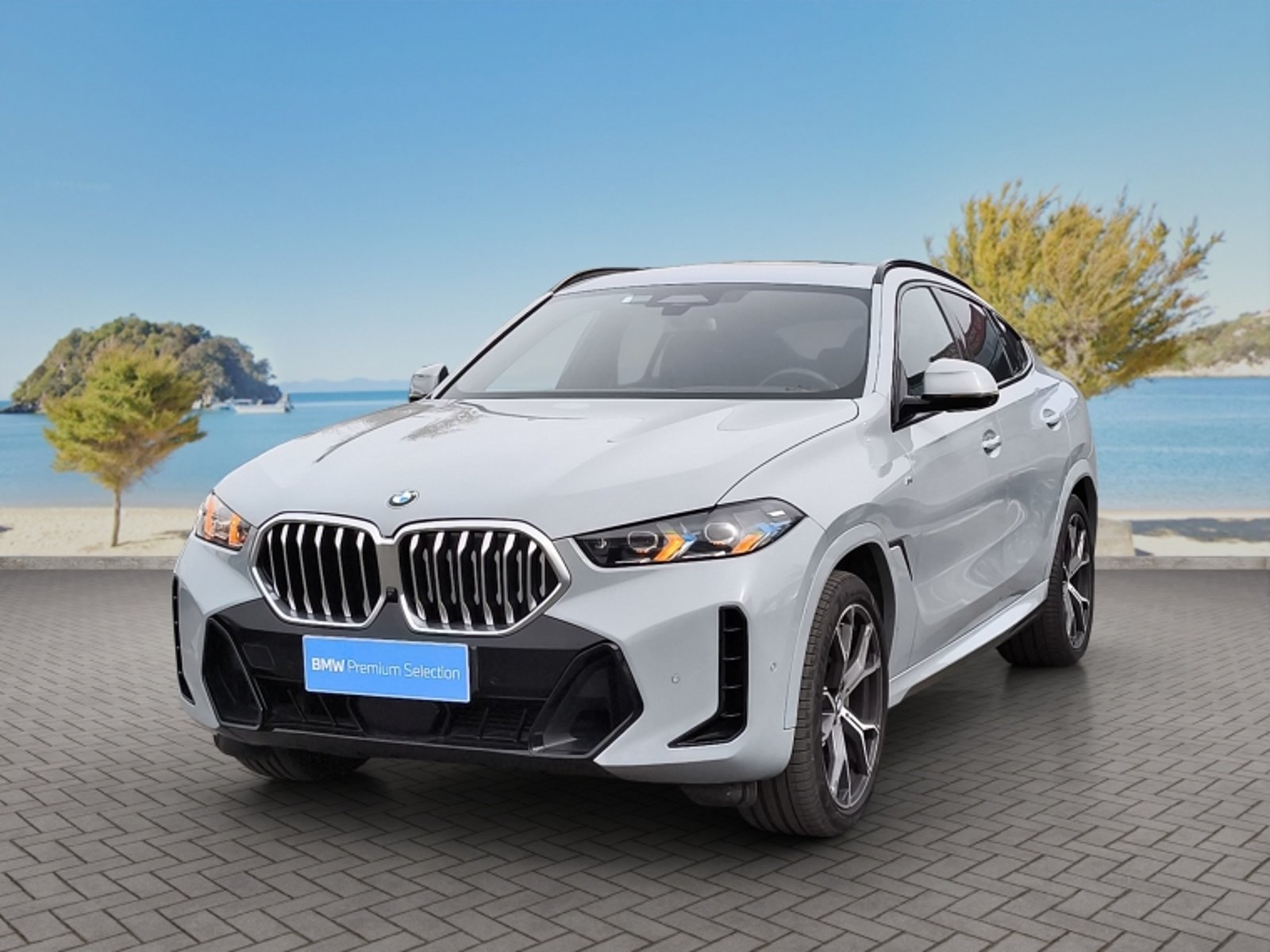 BMW X6 2024