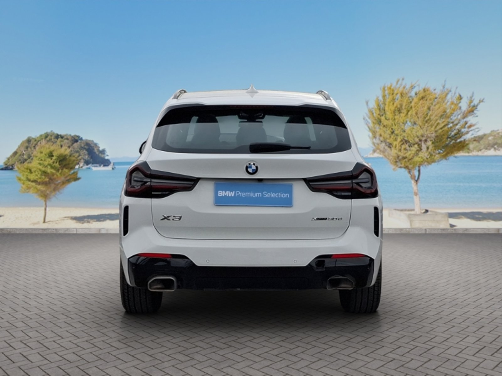 BMW X3 Xdrive 30d 3.0 4x4 Aut 2023 - Imagen 6 de 20