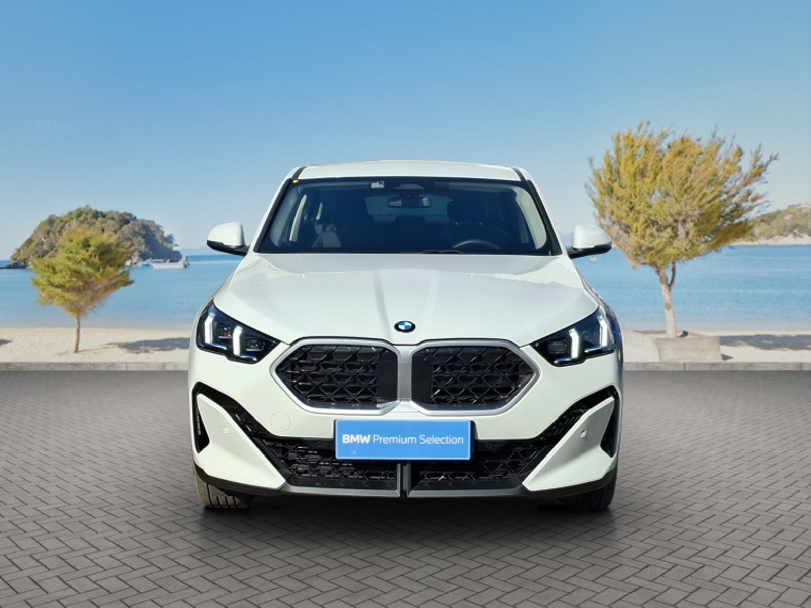 BMW X2 Sdrive20i Dynamic 2026 - Foto 2 de 20