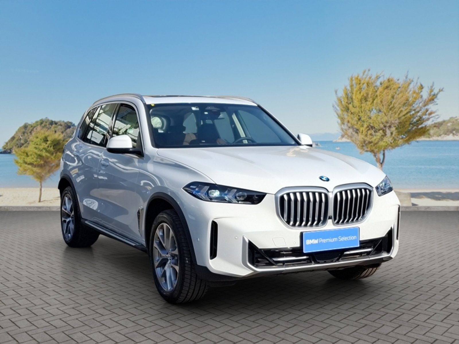 BMW X5 Xdrive30d Xline 2026 - Foto 3 de 20