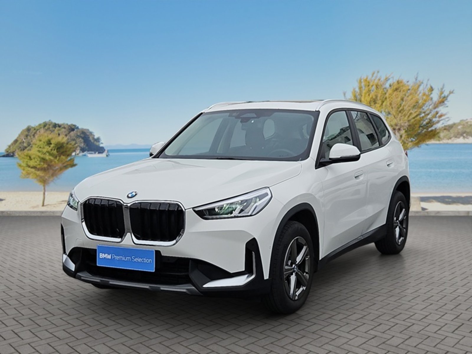 BMW X1 Sdrive18d Dynamic 2026