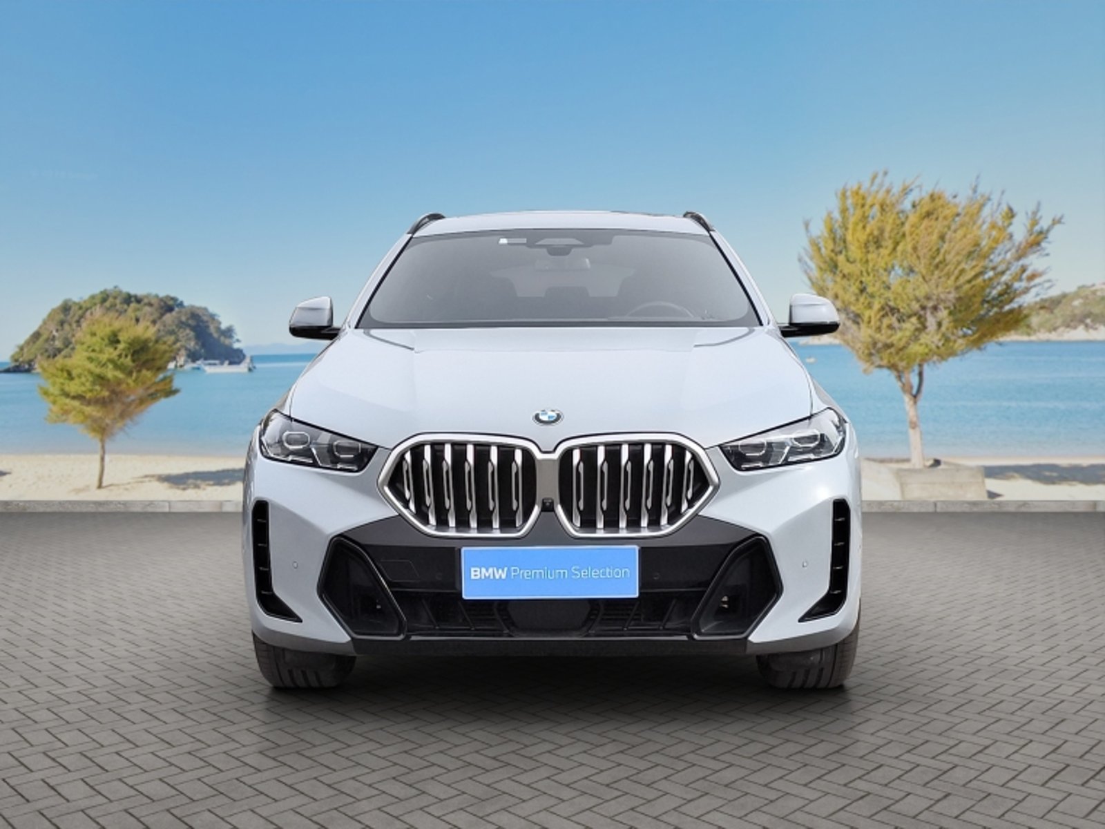 BMW X6 Xdrive30d M Sport 2024 - Foto 2 de 20