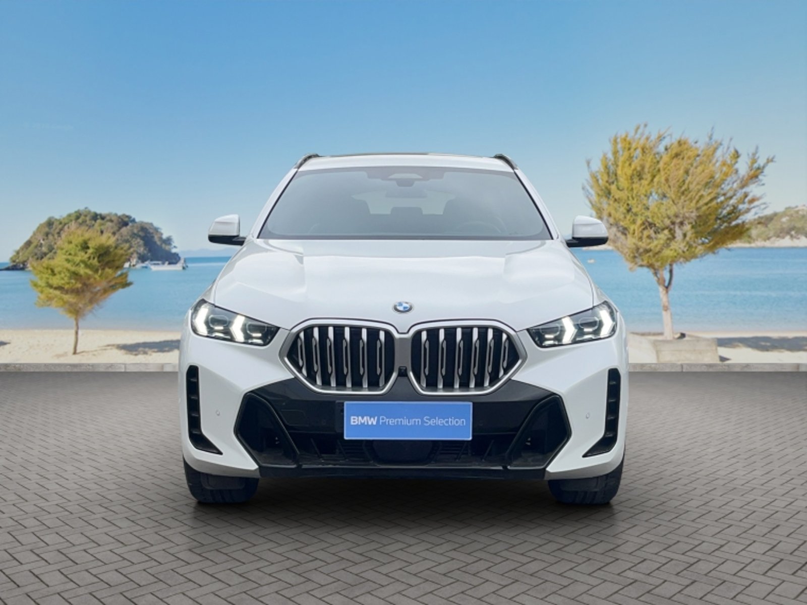 BMW X6 Xdrive 30d M Sport 4x4 3.0 Aut 2024 - Foto 2 de 16