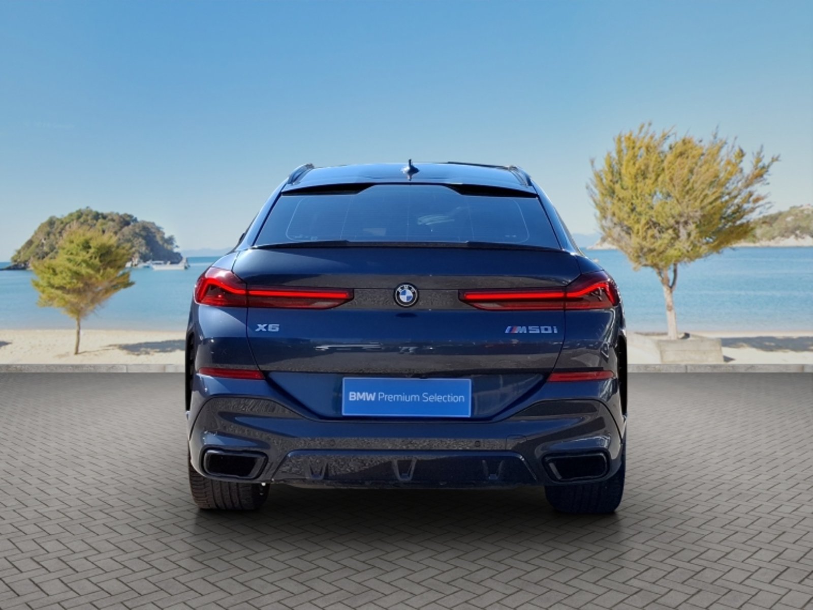 BMW X6 M50i 4x4 4.4 Aut 2022 - Imagen 6 de 20
