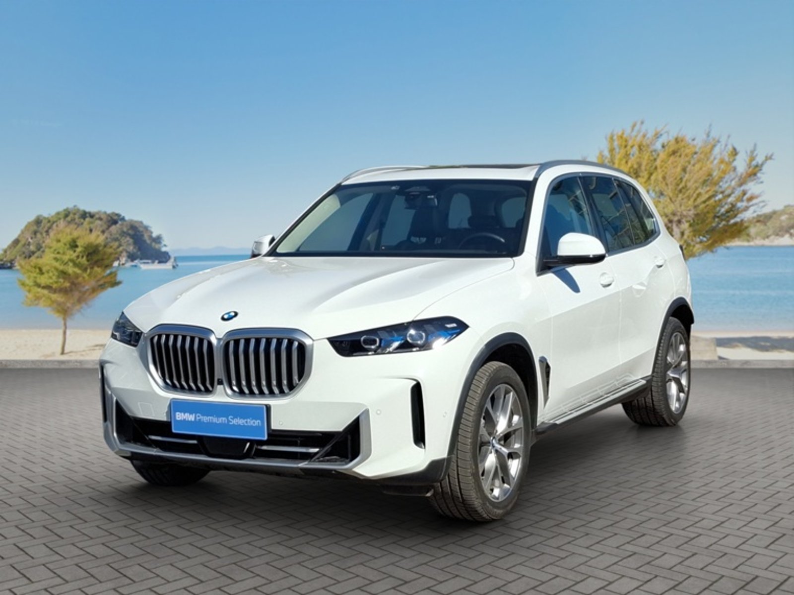 BMW X5 Xdrive30d Xline 2026