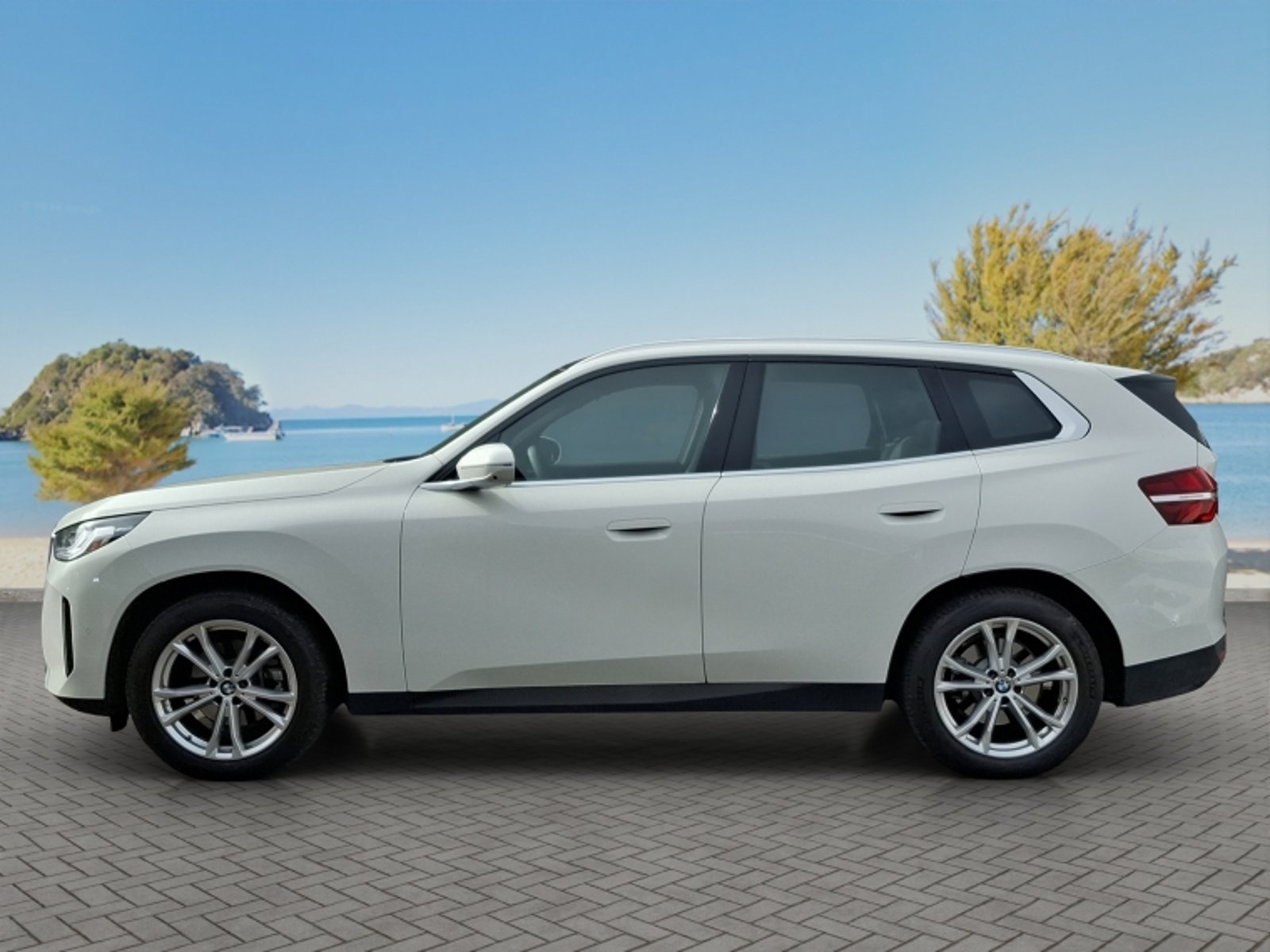 BMW X3 Sdrive20i Heritage 2025 - Imagen 4 de 20