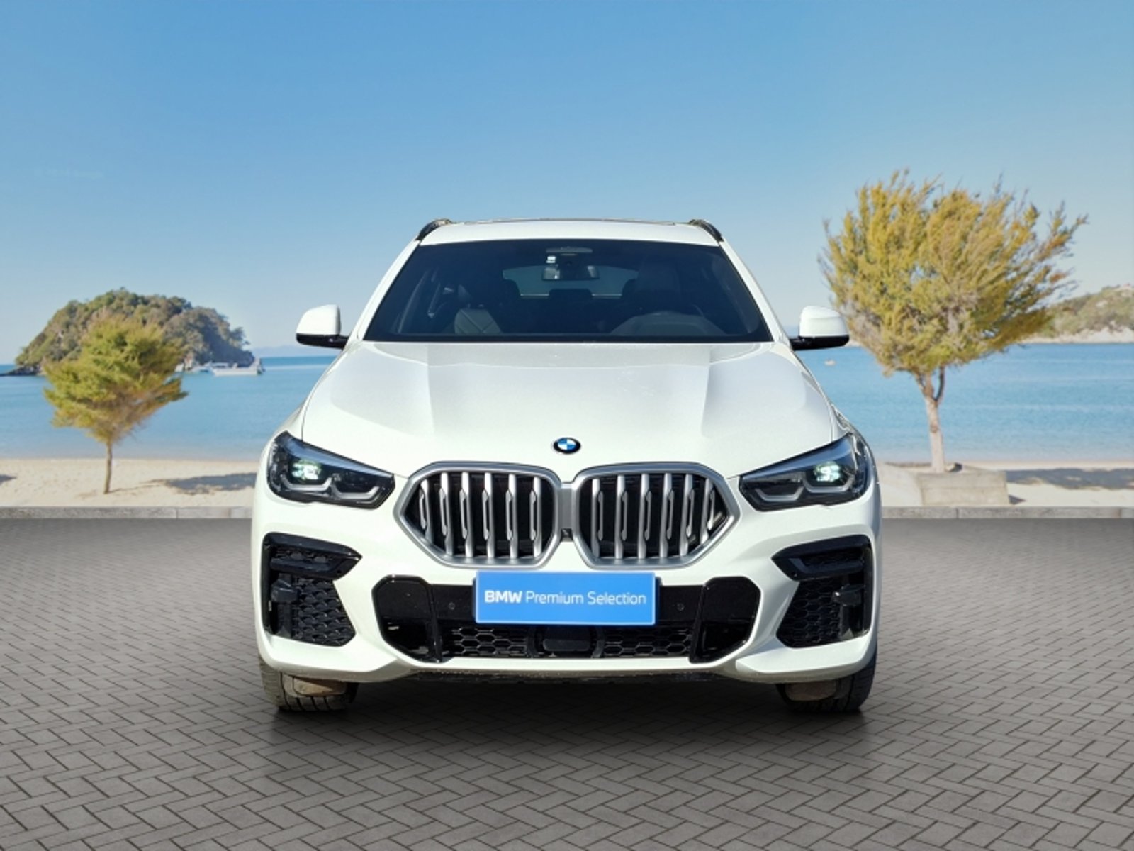 BMW X6 Xdrive30d 4x4 5p 3.0 Aut 2023 - Foto 2 de 20