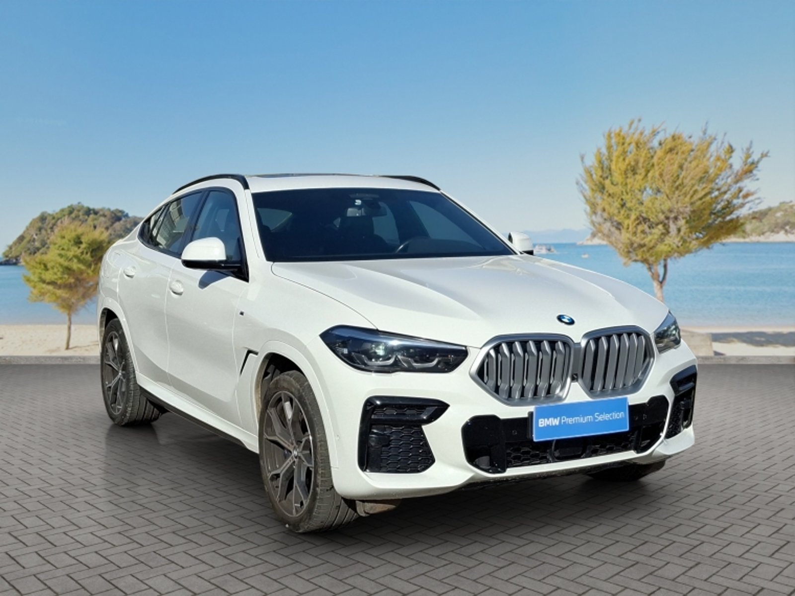 BMW X6 Xdrive30d 4x4 5p 3.0 Aut 2023 - Imagen 3 de 20