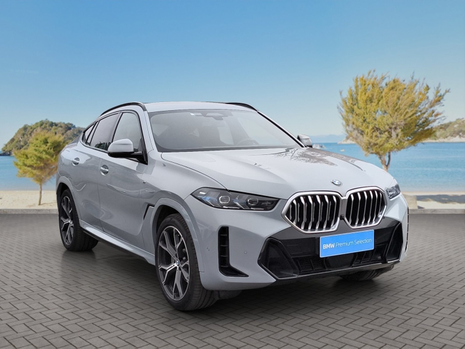 BMW X6 Xdrive30d M Sport 2024 - Foto 3 de 20