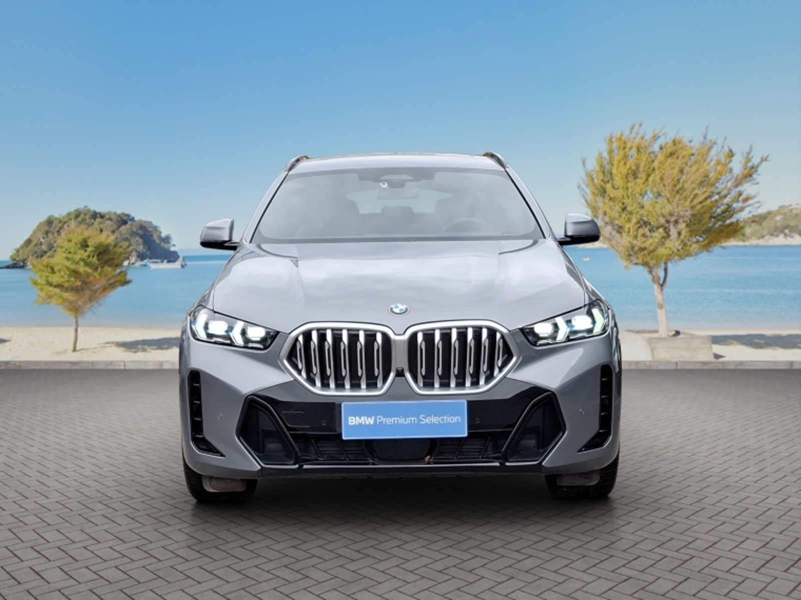 BMW X6 Xdrive30d M Sport 2026 - Foto 2 de 20