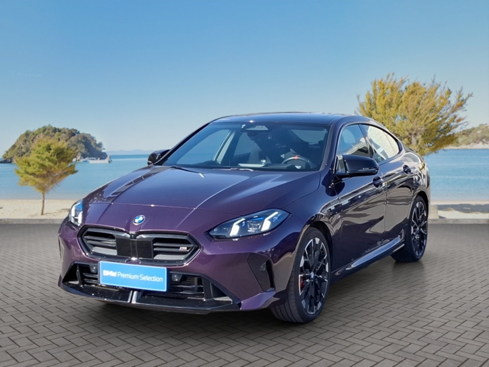 BMW M235 Xdrive Gran Coupe 4x4 2.0 A… 2025
