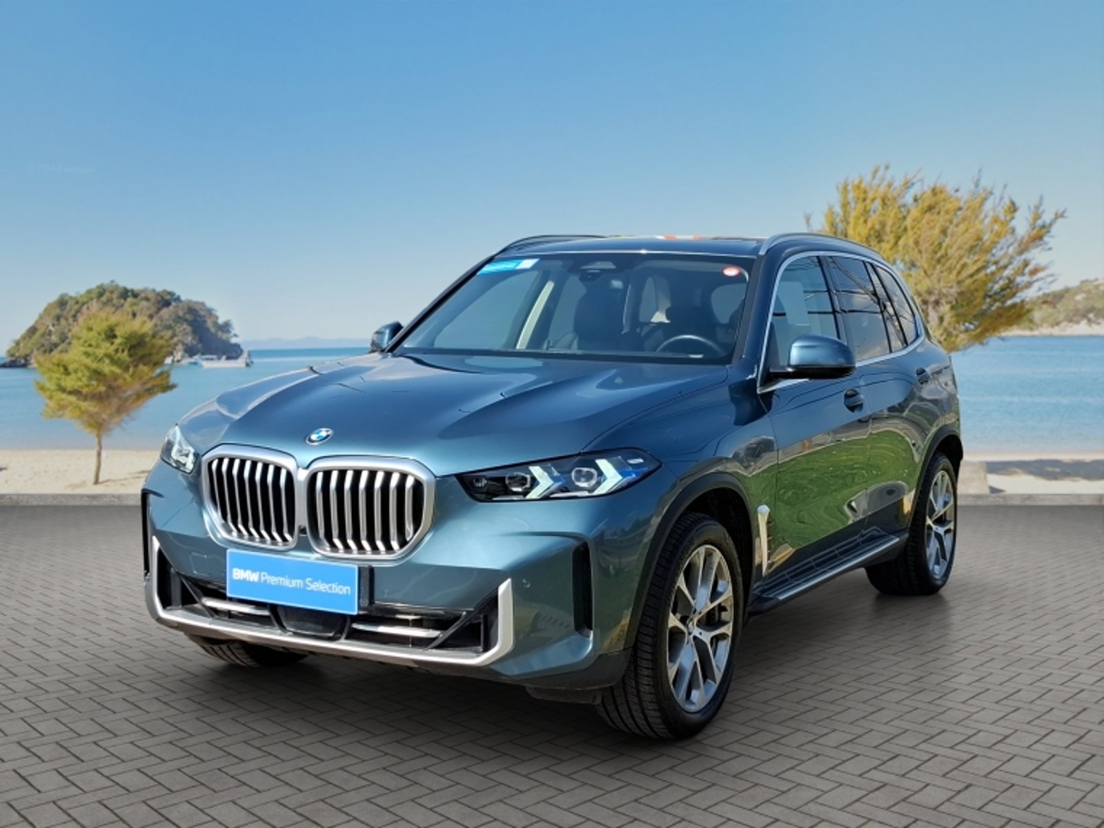 BMW X5 2024