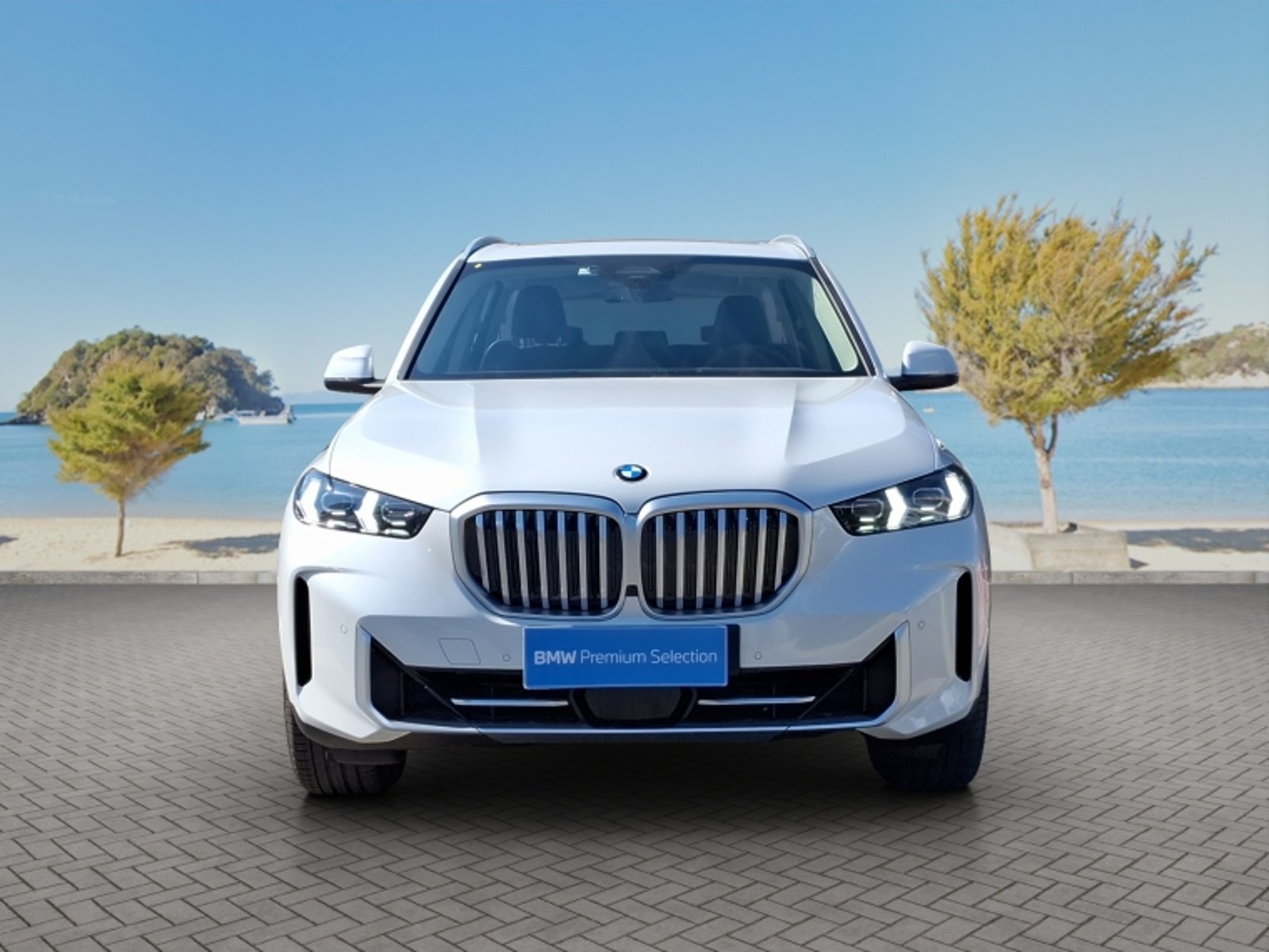 BMW X5 Xdrive40i Xline 2026 - Foto 2 de 20
