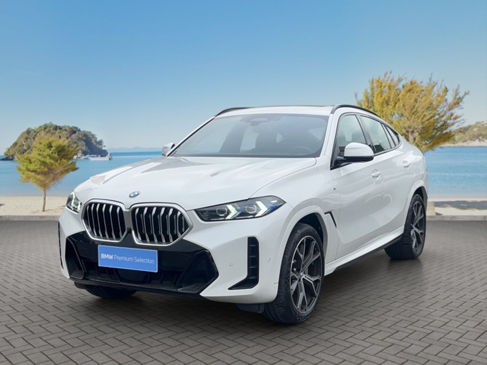BMW X6 Xdrive 30d M Sport 4x4 3.0 Au… 2024