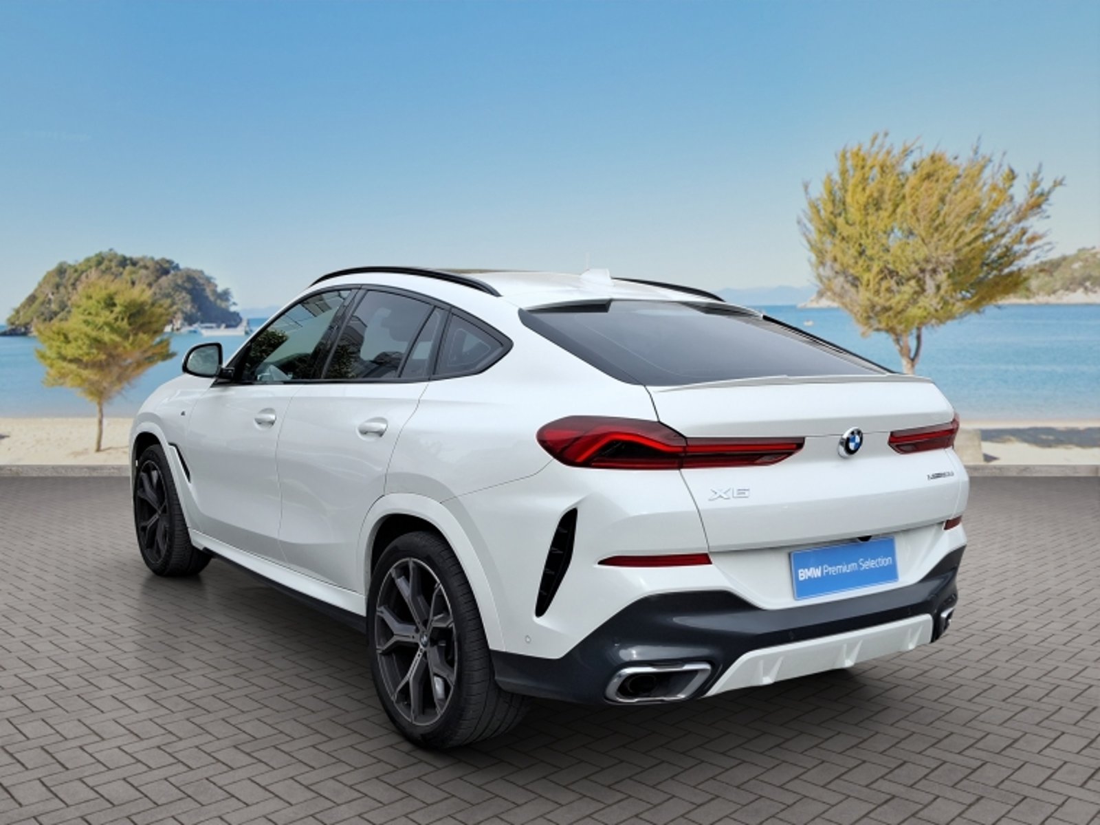 BMW X6 Xdrive30d 4x4 5p 3.0 Aut 2023 - Imagen 5 de 20