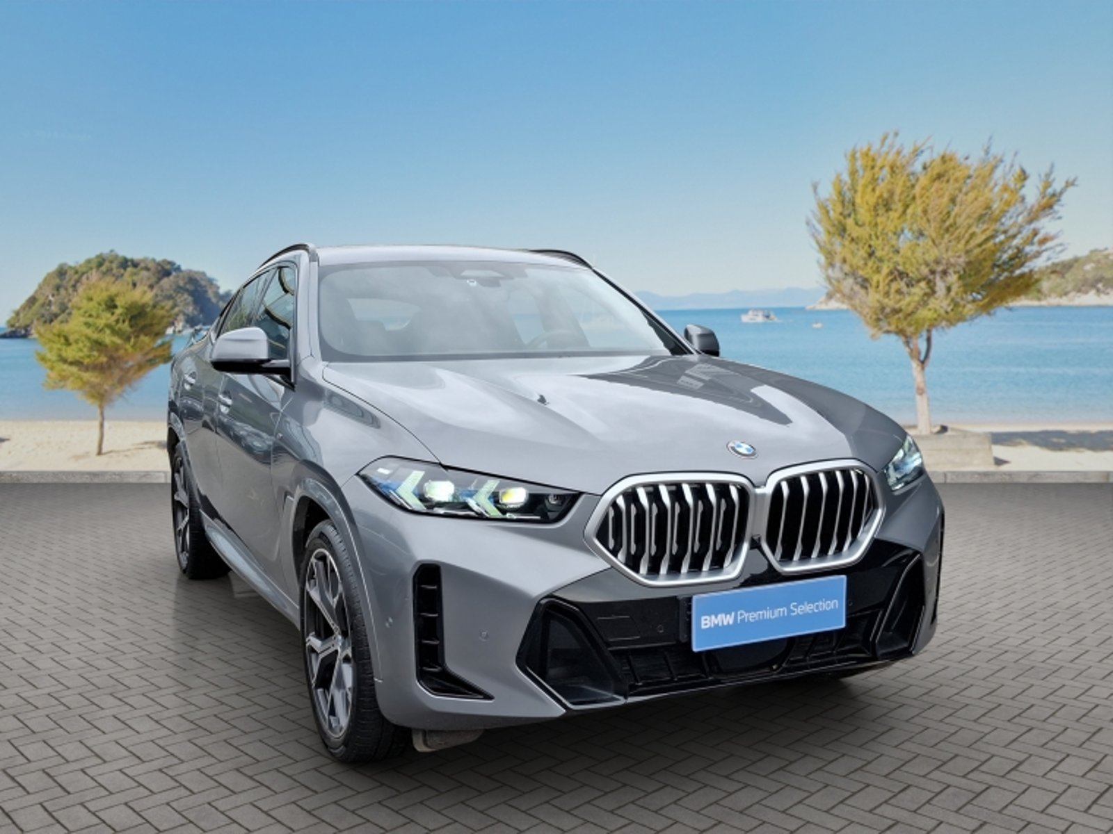 BMW X6 Xdrive30d M Sport 2026 - Foto 3 de 20