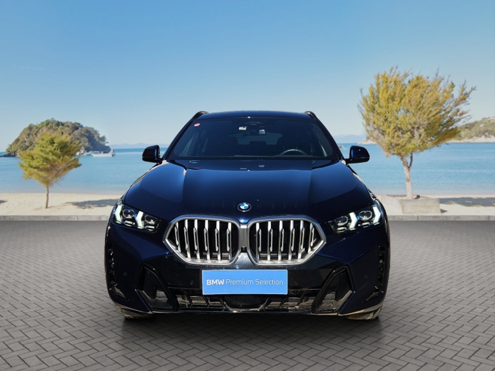BMW X6 Xdrive40i M Sport 2026 - Foto 2 de 20