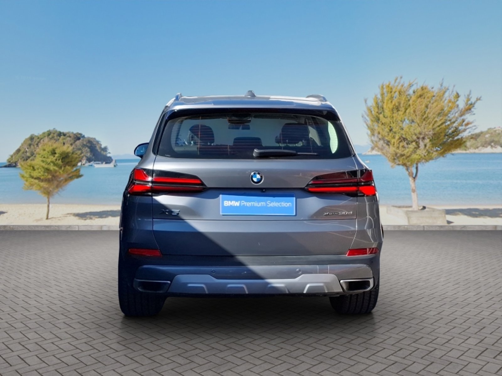 BMW X5 Xdrive 30d Lci 4x4 3.0 Aut 2024 - Imagen 6 de 20