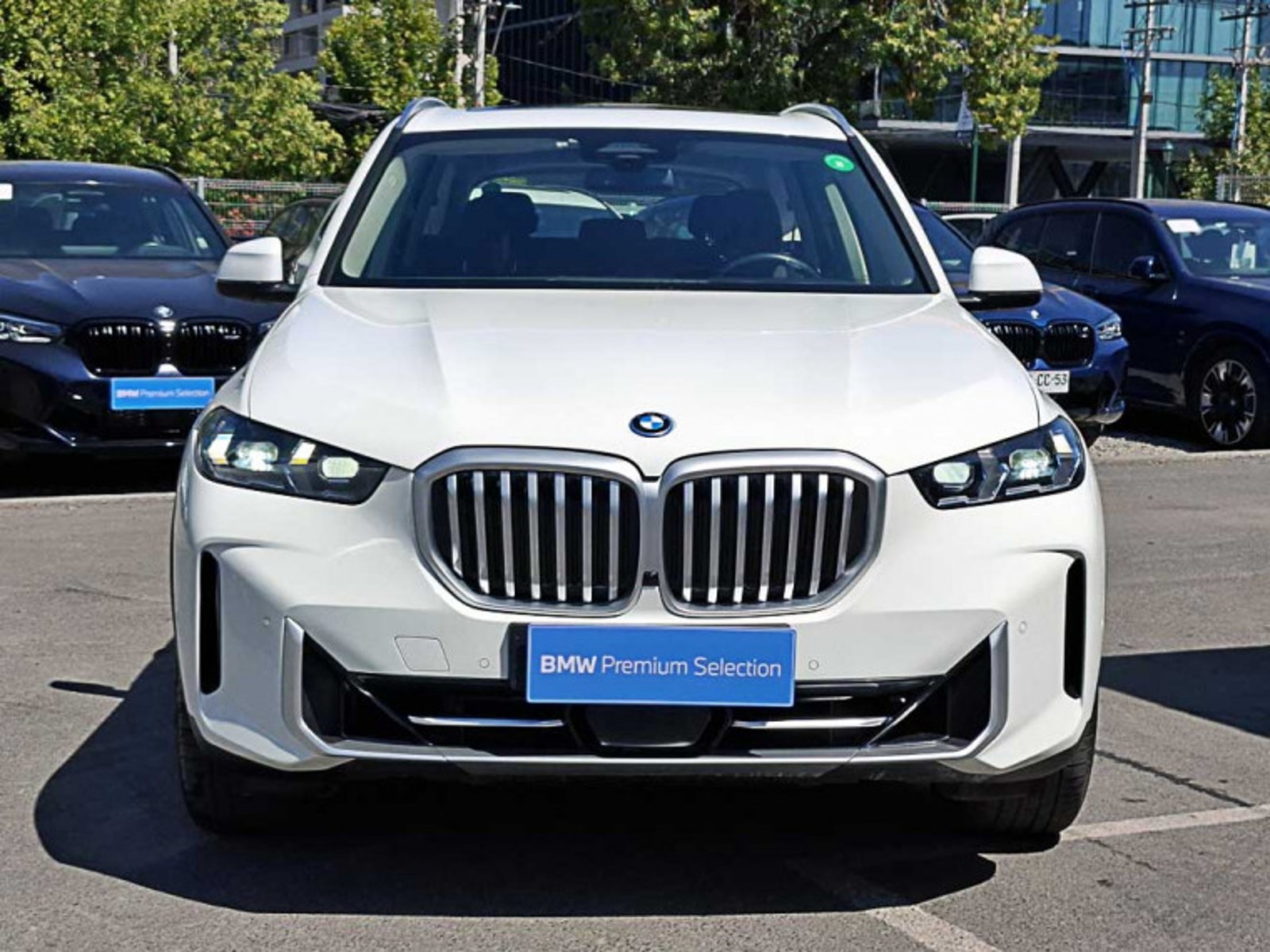 BMW X5 Xdrive50e Xline Lci 2025 - Imagen 3 de 12