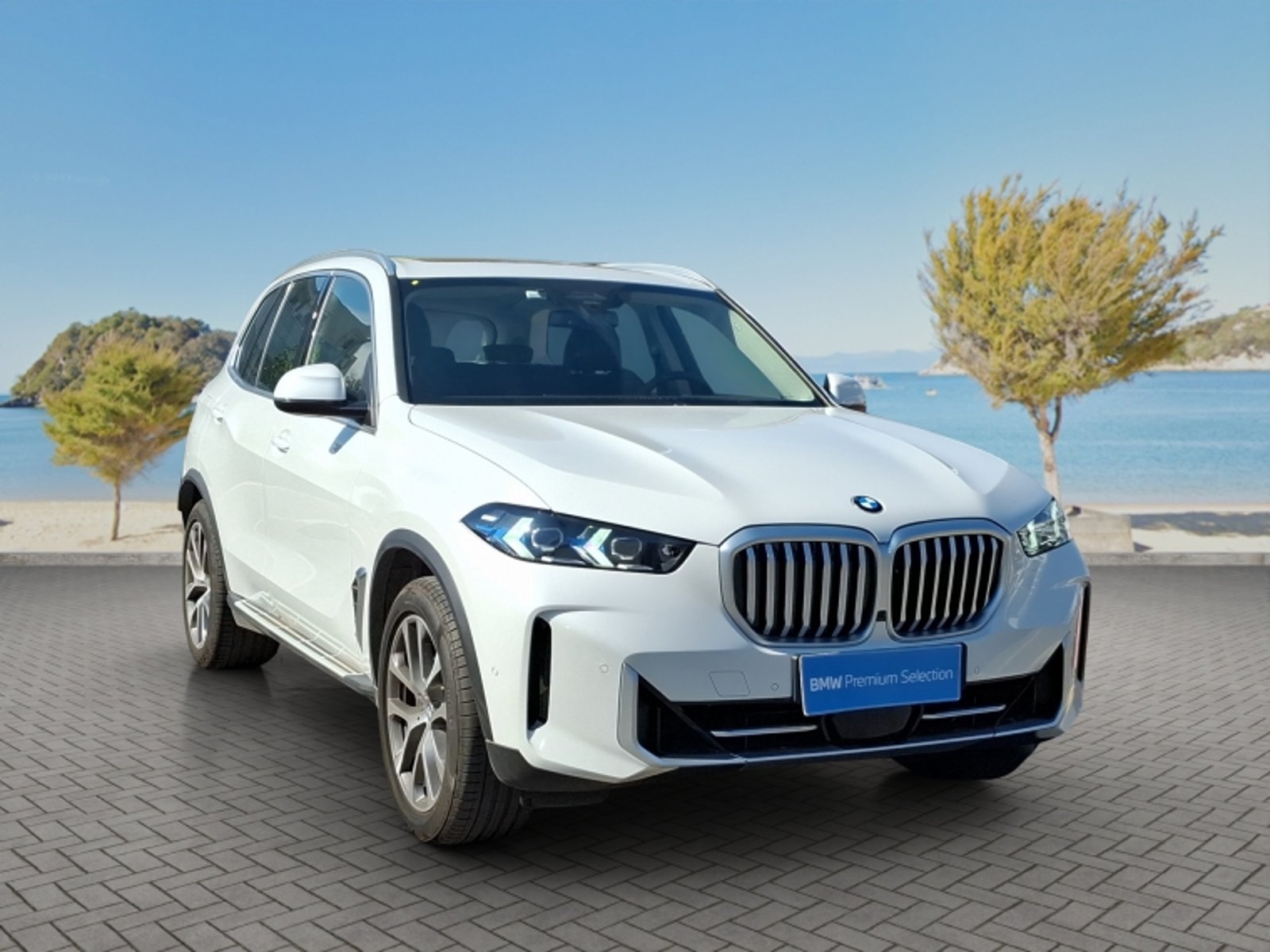 BMW X5 Xdrive40i Xline 2026 - Foto 3 de 20
