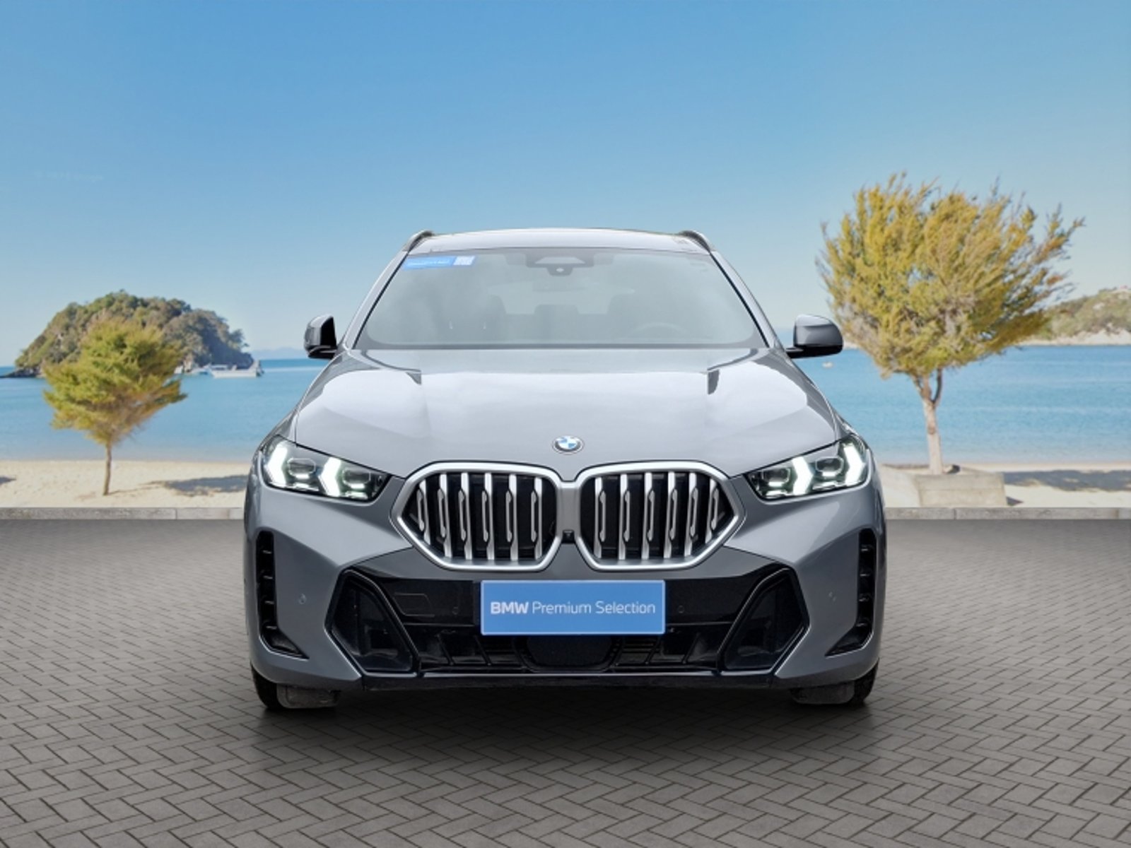 BMW X6 Xdrive 30d M Sport 4x4 3.0 Aut 2024 - Foto 2 de 20