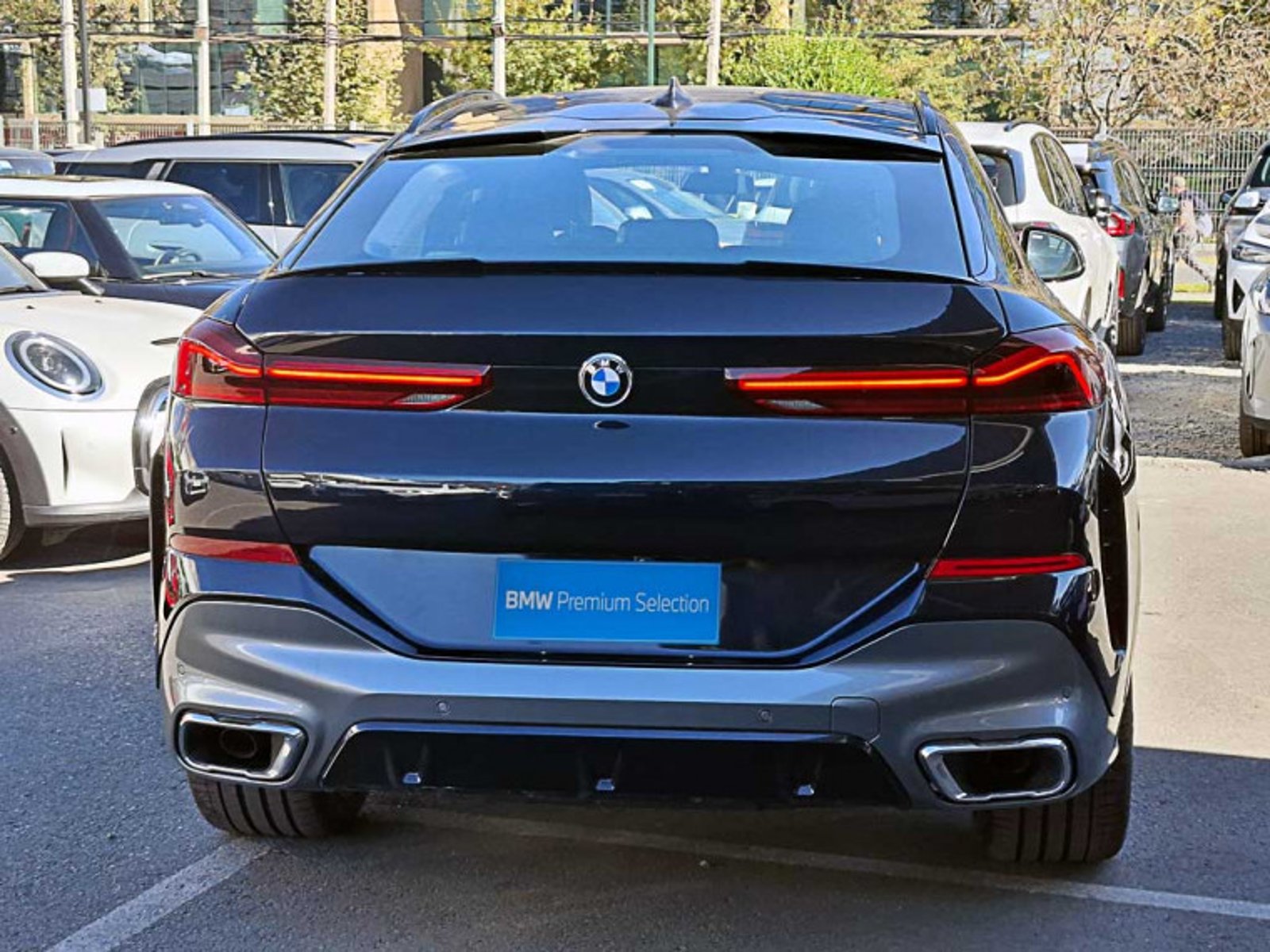 BMW X6 Xdrive30d 4x4 5p 3.0 Aut 2023 - Foto 5 de 13