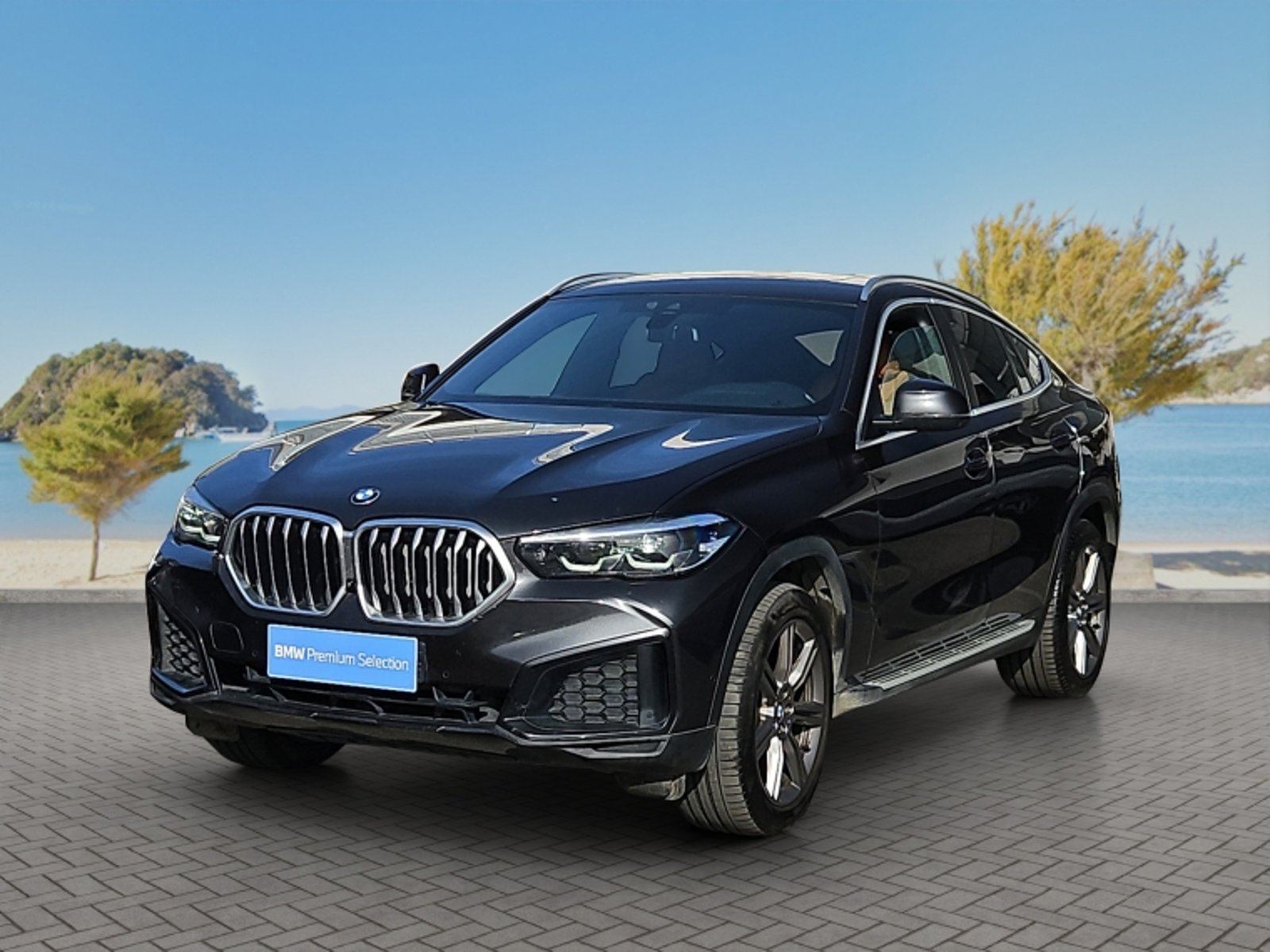 BMW X6 2022