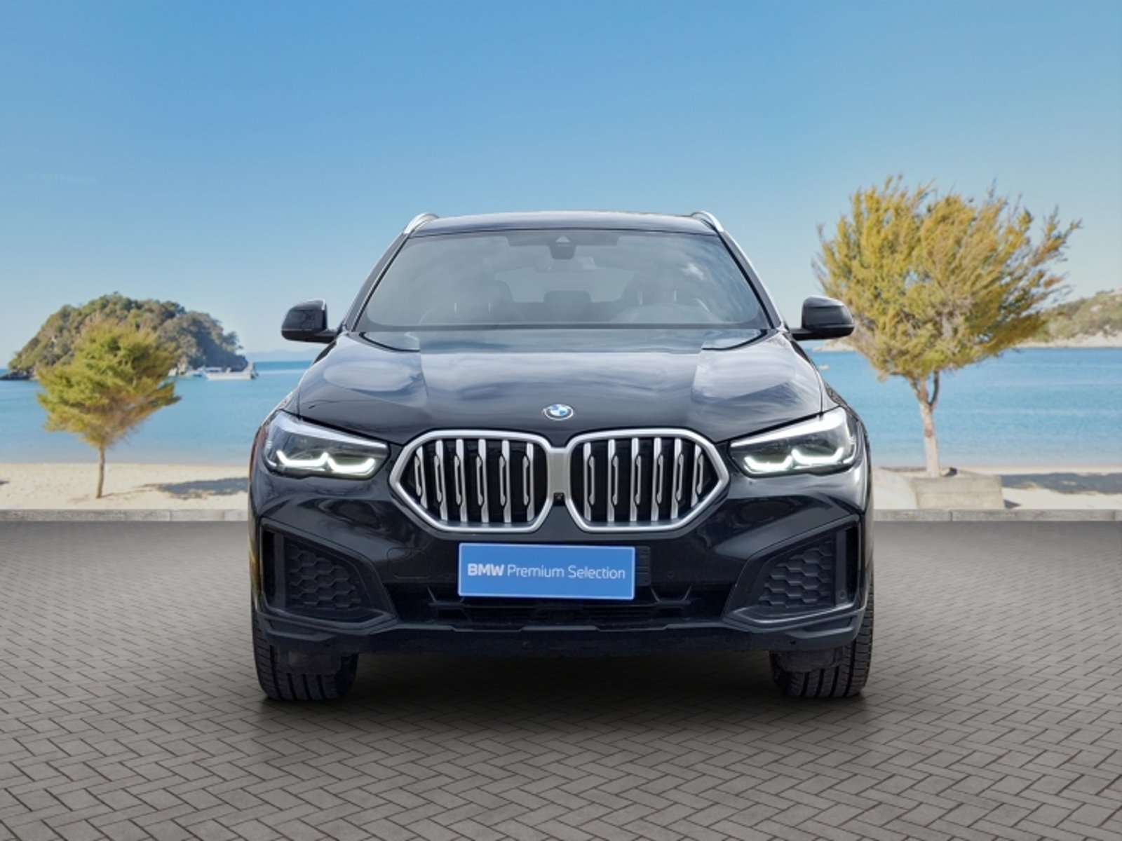 BMW X6 Xdrive30d 4x4 5p 3.0 Aut 2023 - Foto 2 de 20