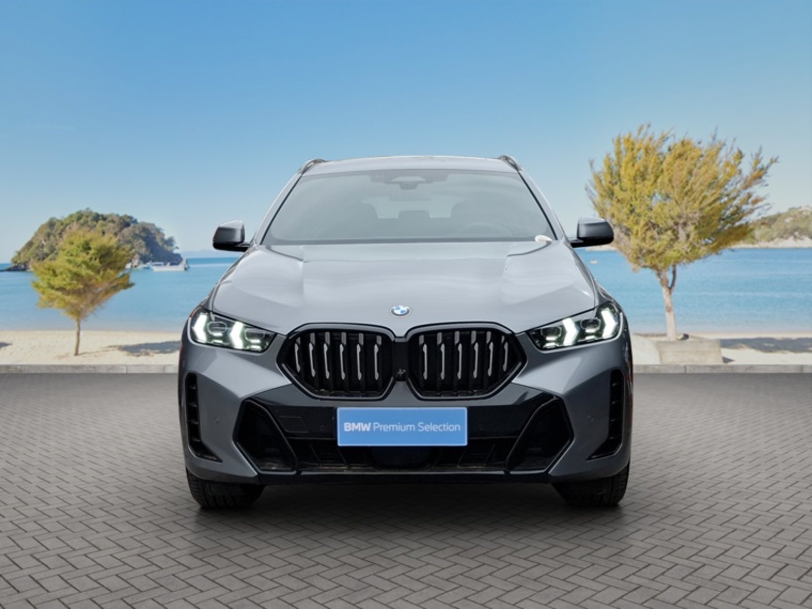 BMW X6 Xdrive30d M Sport 2026 - Foto 2 de 16
