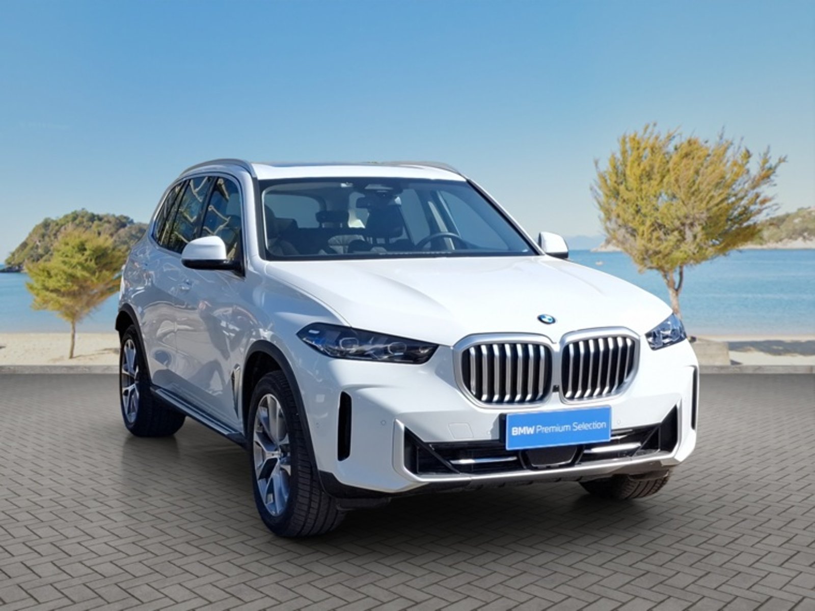 BMW X5 Xdrive30d Xline 2026 - Foto 3 de 16