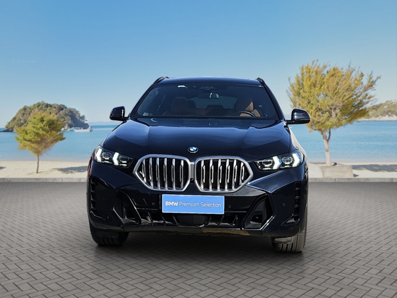 BMW X6 Xdrive 30d M Sport 4x4 3.0 Aut 2025 - Foto 2 de 20