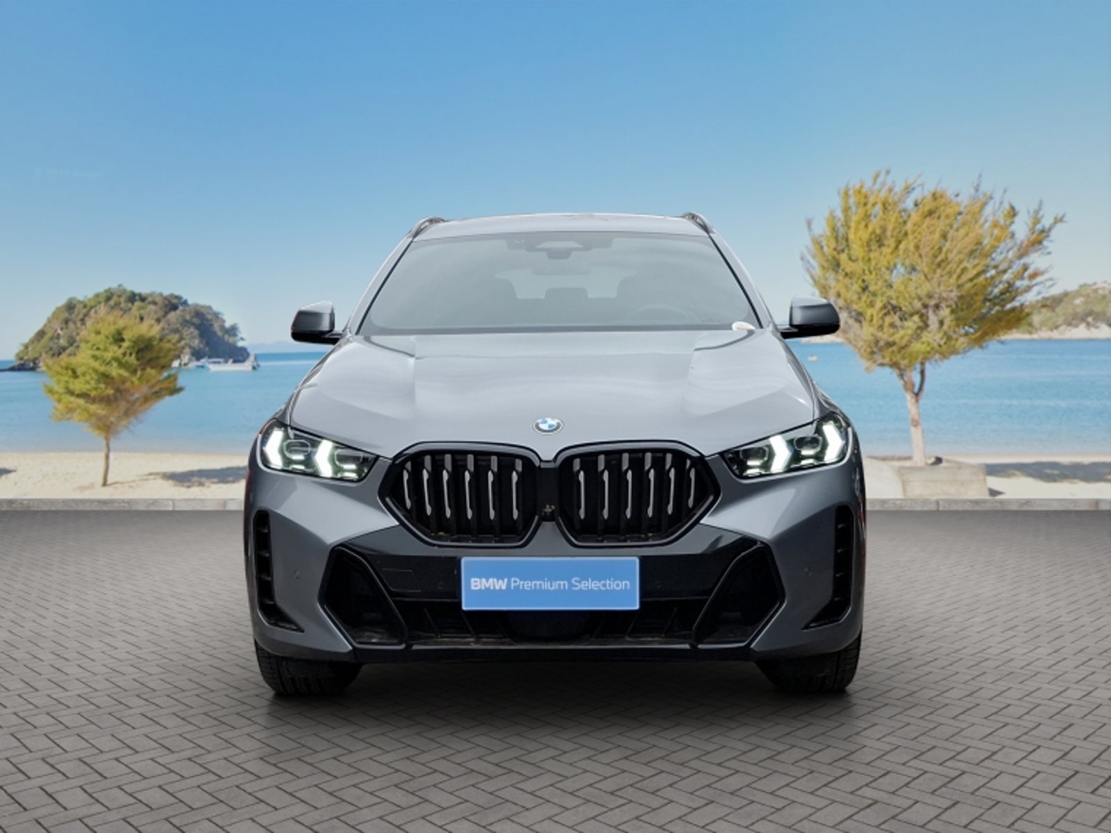 BMW X6 Xdrive30d M Sport 2026 - Foto 2 de 20