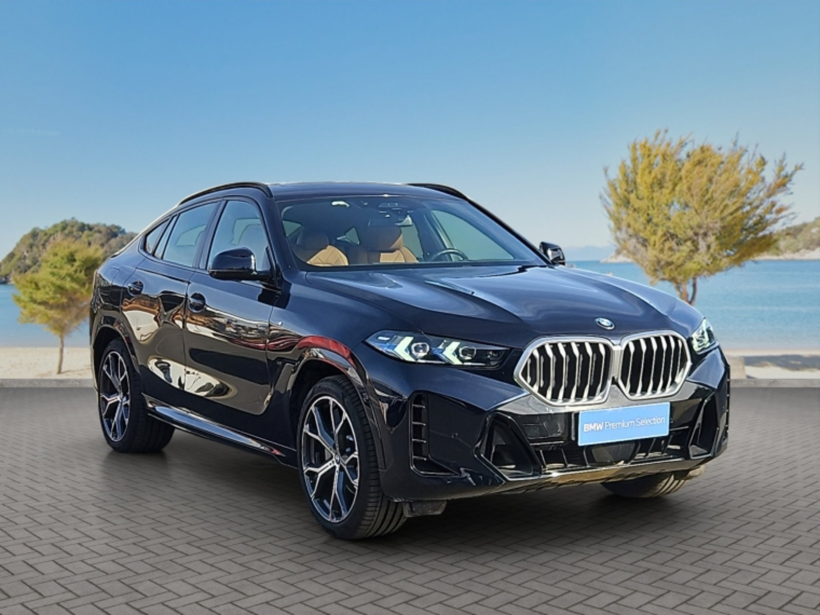 BMW X6 Xdrive 30d M Sport 4x4 3.0 Aut 2025 - Foto 3 de 20