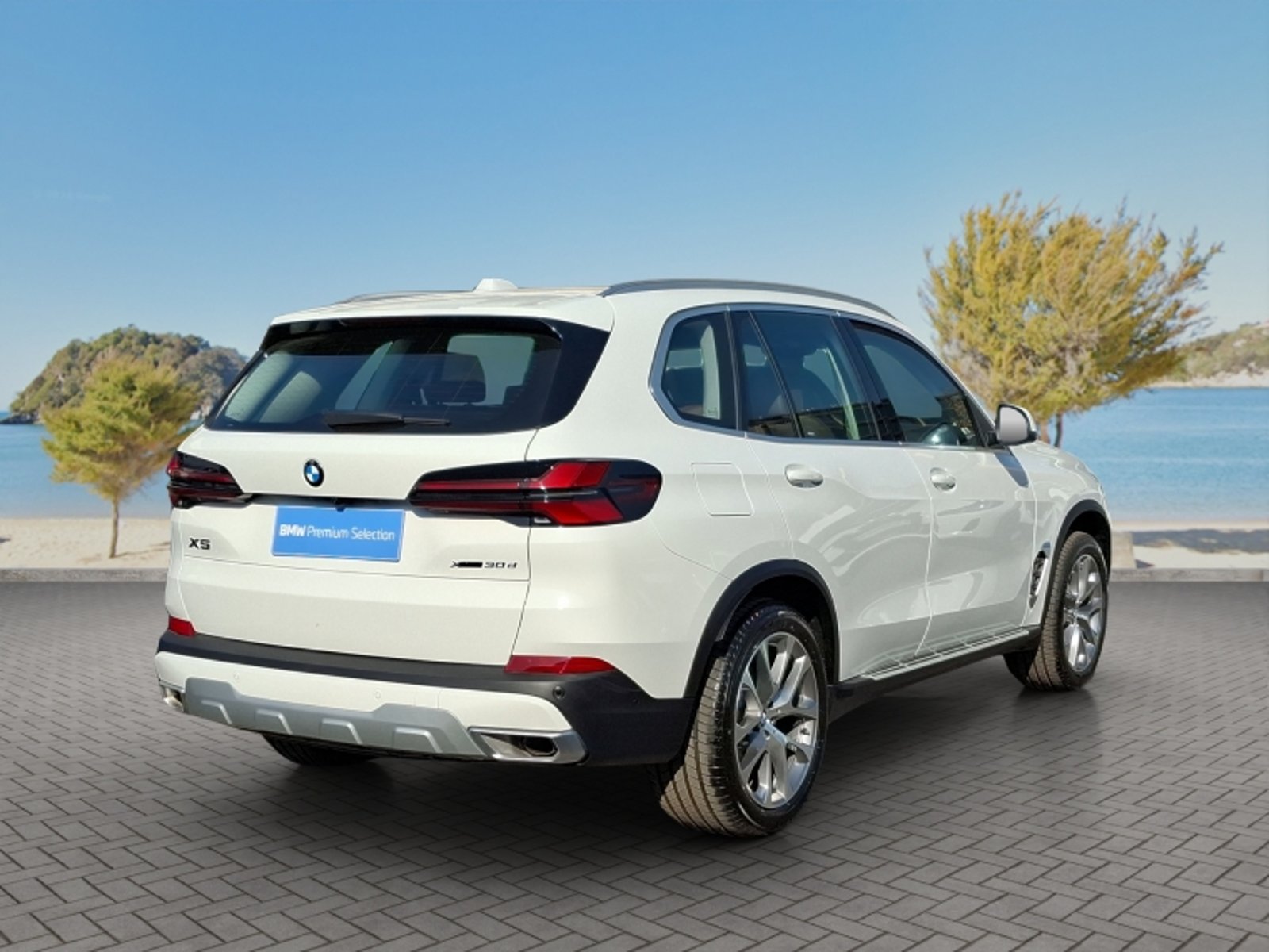 BMW X5 Xdrive30d Xline 2026 - Imagen 7 de 20