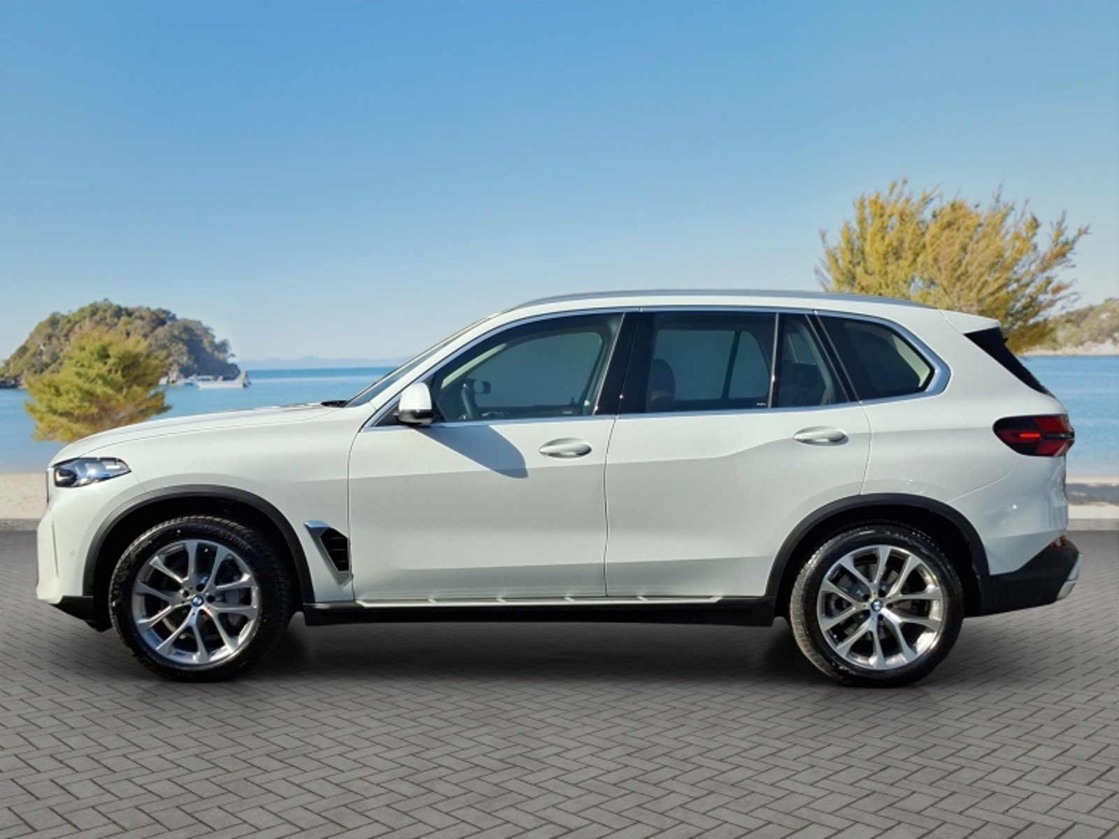 BMW X5 Xdrive30d Xline 2026 - Foto 4 de 20