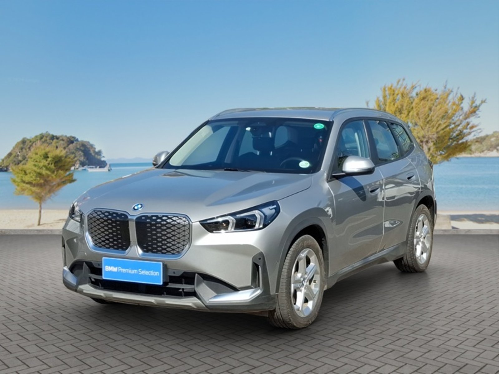 BMW Ix1 Xdrive20 Aut 2025