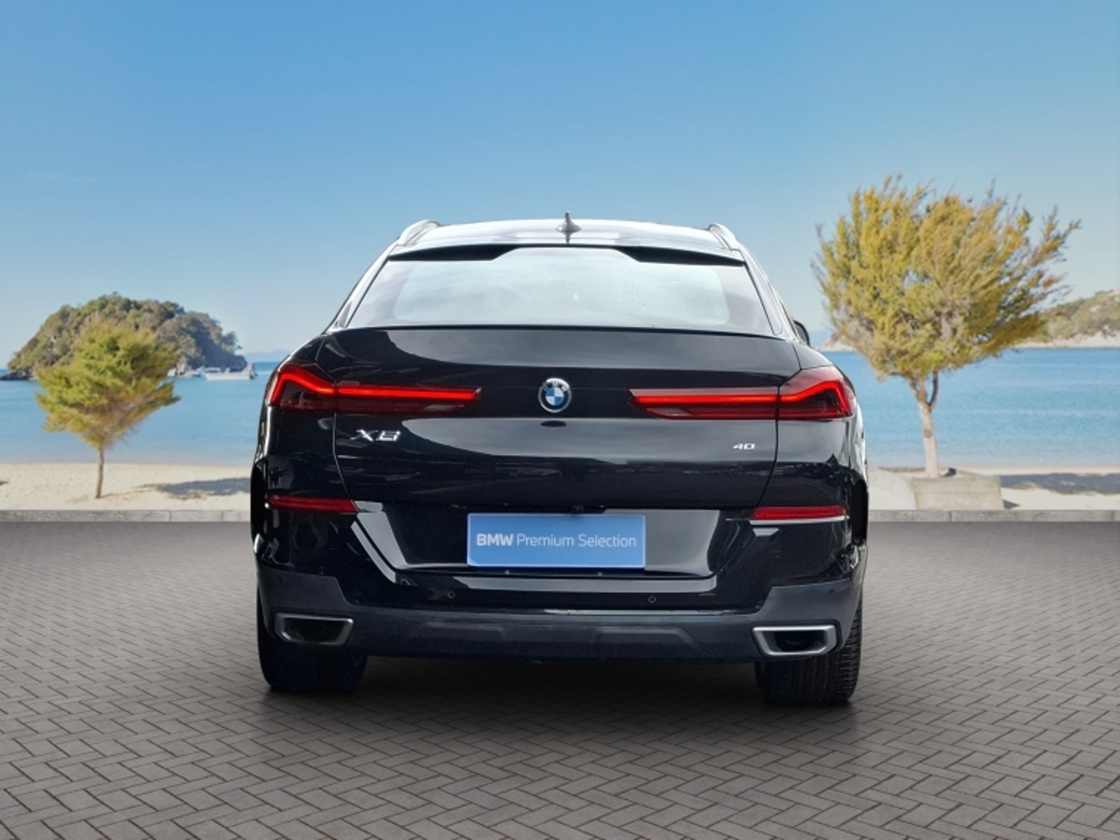 BMW X6 Xdrive 40i 4x4 3.0 Aut 2021 - Imagen 6 de 20