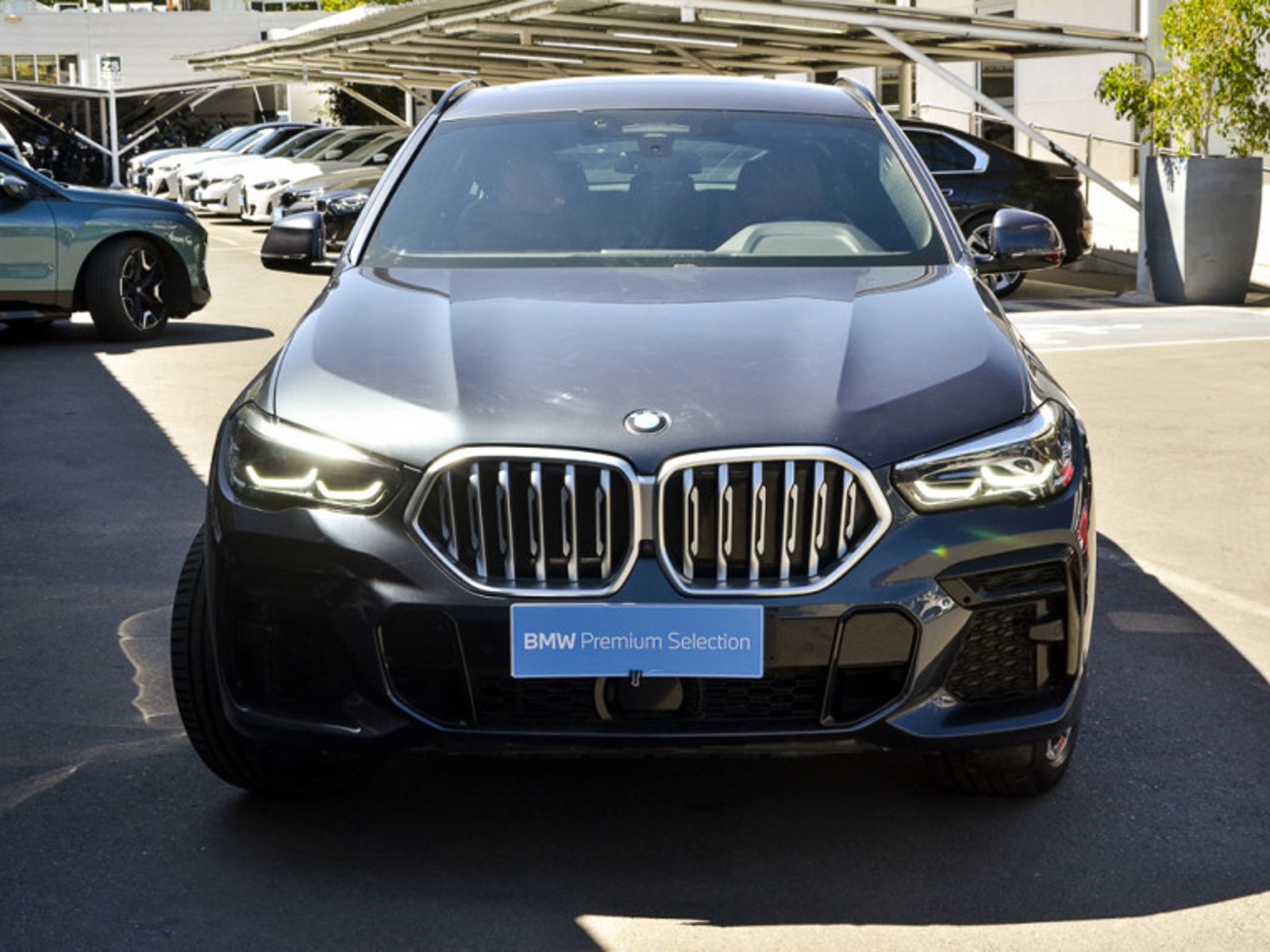 BMW X6 Xdrive30d 4x4 5p 3.0 Aut 2023 - Foto 3 de 13