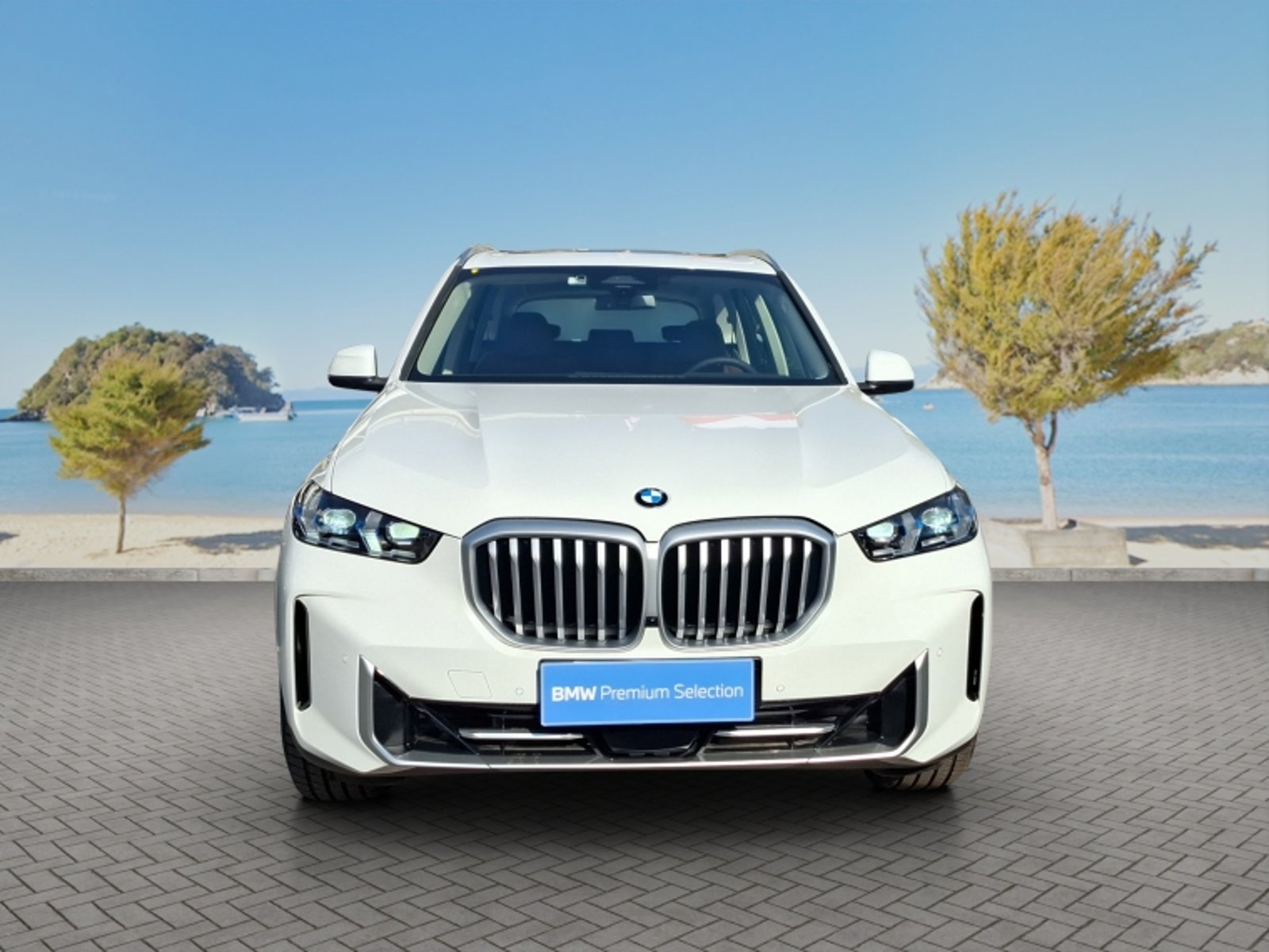 BMW X5 Xdrive30d Xline 2026 - Foto 2 de 20