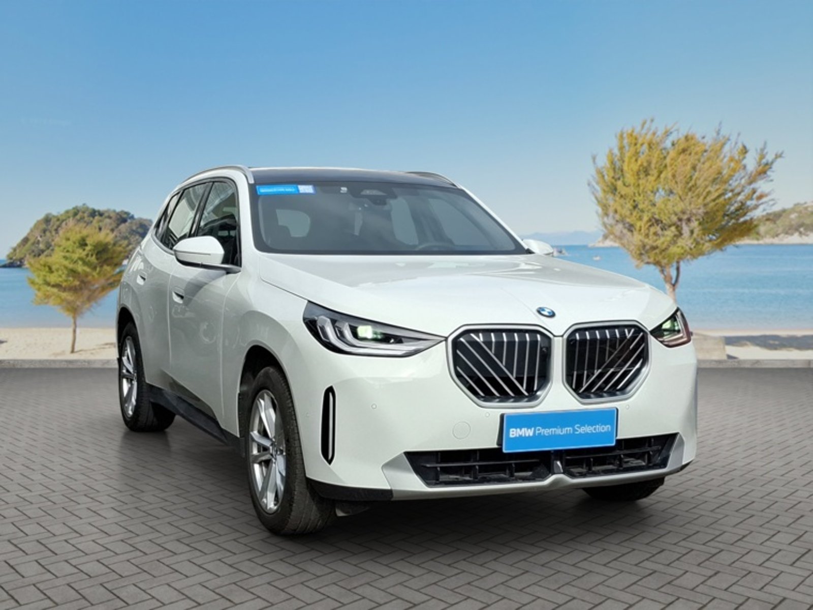 BMW X3 Sdrive20i Heritage 2025 - Foto 3 de 16